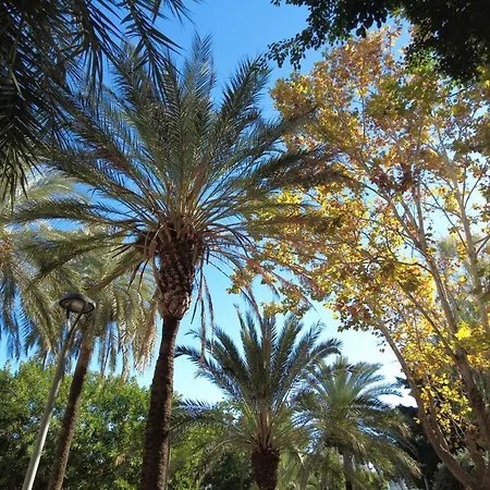 Apartment City Parque Del Sol